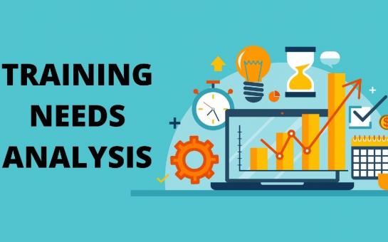 Training Needs Analysis